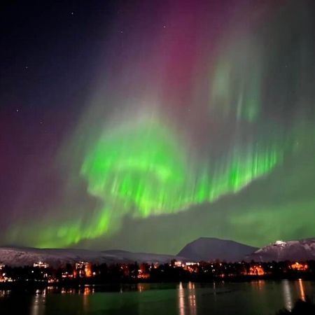 Apartamento Polar Arctic View - Free Parking! Tromsø Exterior foto