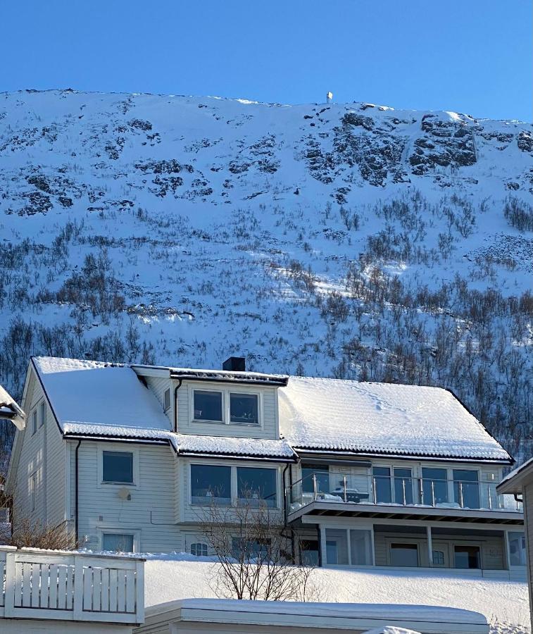 Apartamento Polar Arctic View - Free Parking! Tromsø Exterior foto